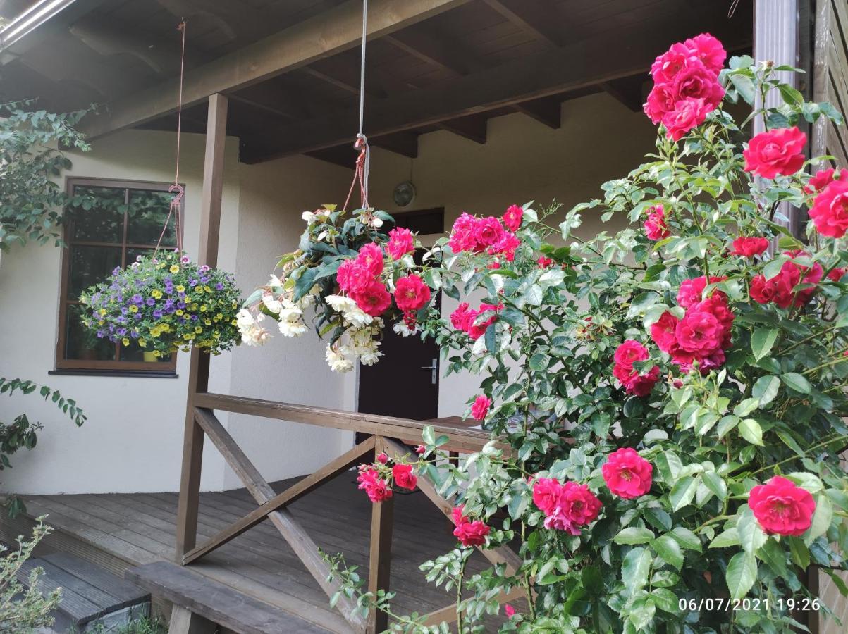 Boutigue City House With Terrace And Garden Free Parking Рига Екстериор снимка